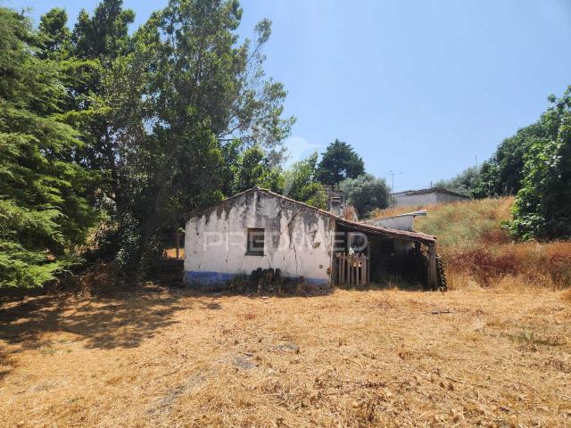 QUINTA HORTA DAS LARANJEIRAS ELVAS BOA FÉ