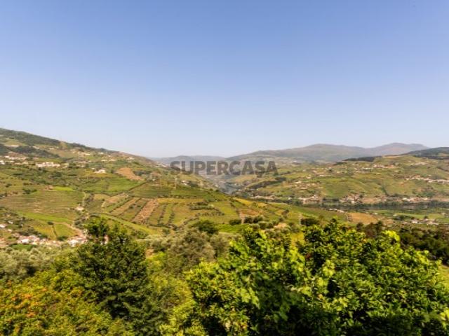 Quinta Histórica com Vinha no Alto Douro Vinhateiro