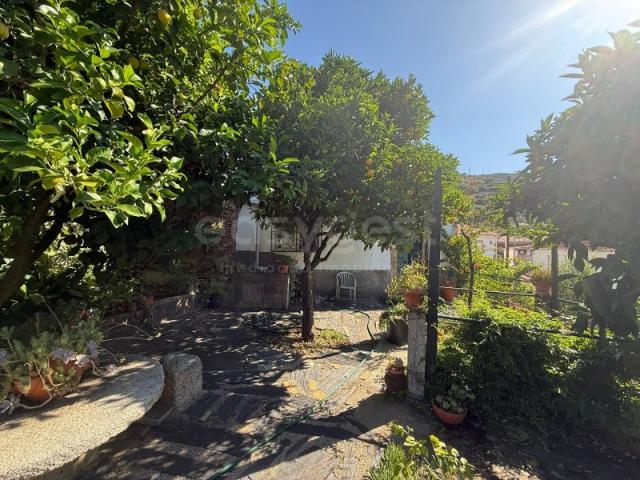 Quinta Histórica T5 no Douro Internacional com vinha produtiva e infraestrutura Vinícola casa senhorial e piscina panorâmica