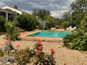 Quinta isolada com piscina localizada em Castro da Cola, concelho Ourique
