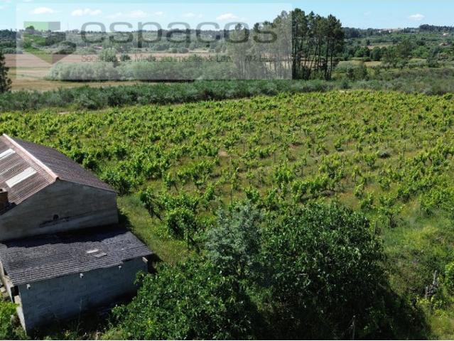 Quinta Junto à Serra da Gardunha