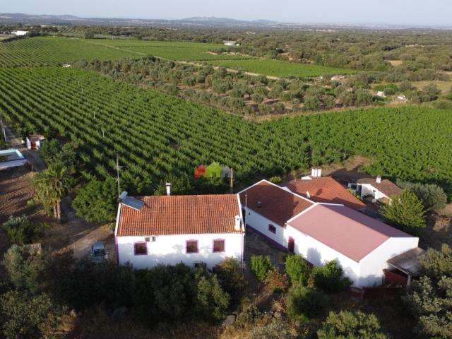 Quinta dos Sonhos em Reguengos de Monsaraz