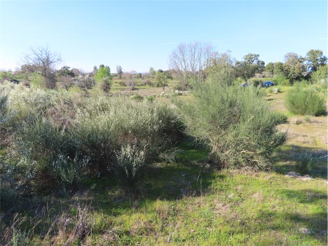 Quinta off grid e biológica com 1,7 hectares