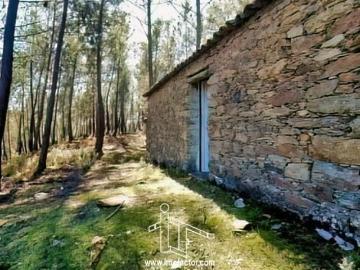 Quinta Off Grid Santo André das Tojeiras Castelo Branco
