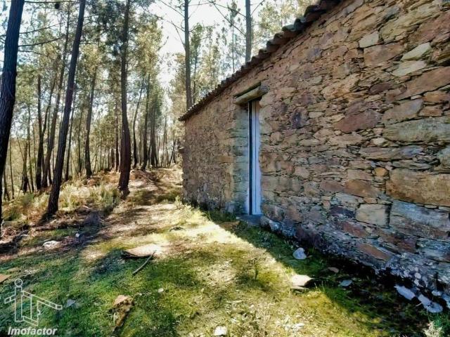 Quinta Off Grid Santo André das Tojeiras Castelo Branco