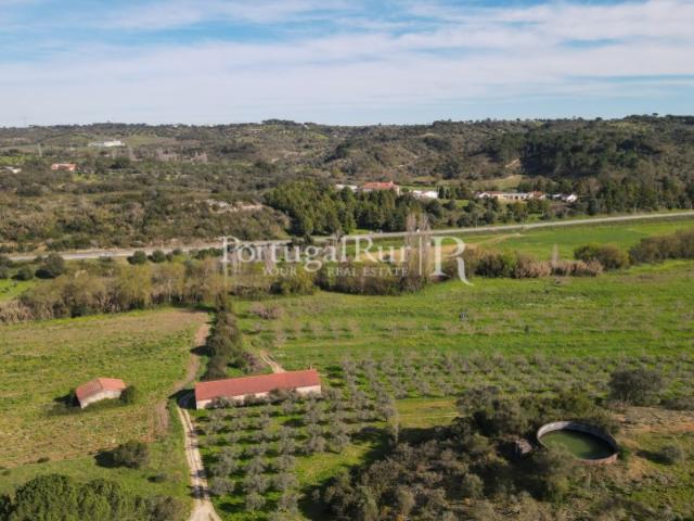 Quinta / Olival com 9,5 hectares em Torres Novas