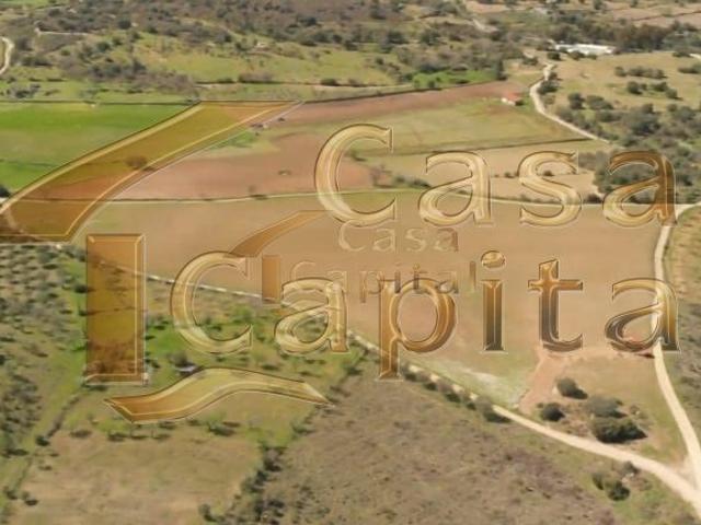 Quinta localizada na região nobre do Rio Douro Superior em Foz Côa