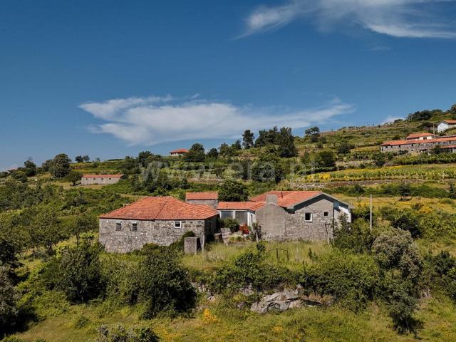 Quinta m² São João De Fontoura