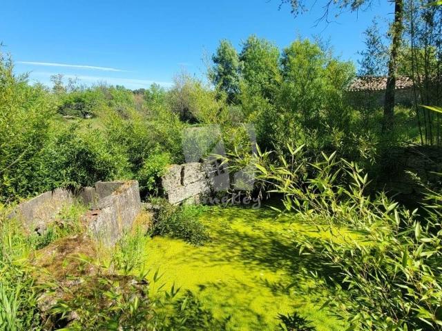 Quinta Macieira Projeto rural pré desenvolvido para vida agrícola fora da rede elétrica