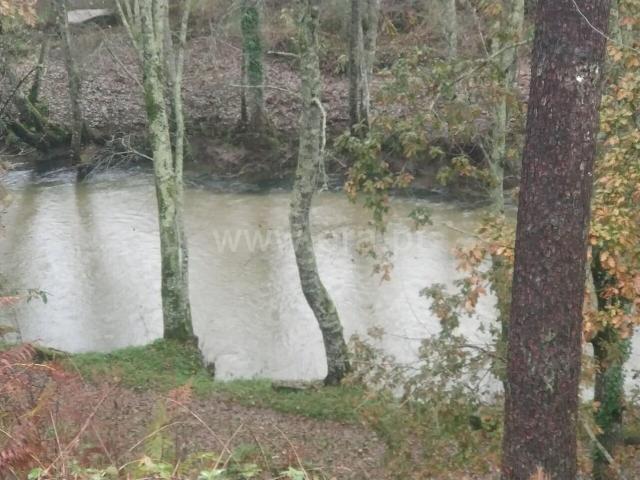 Quinta / Marco de Canaveses, Várzea, Aliviada e Folhada