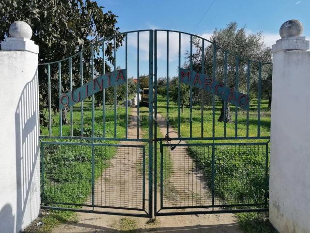 Quinta no Carapetal