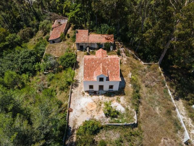 Quinta no Centro de Sintra, para venda 1114m² Agualva e mira sintra