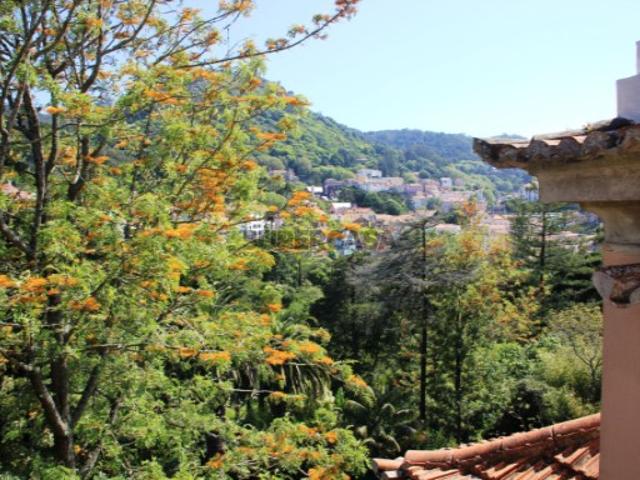 Quinta no centro historico