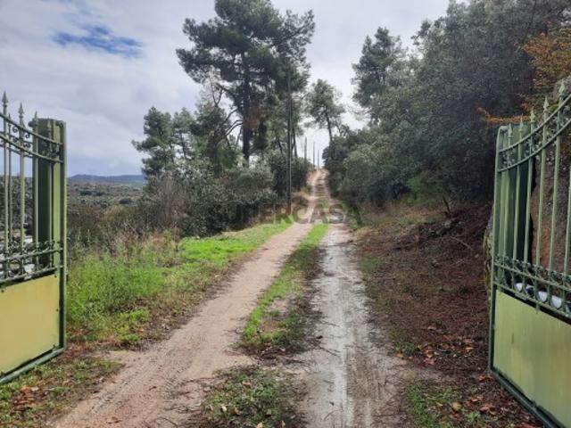 Quinta no Alto Douro Vinhateiro Um património único no coração do Douro