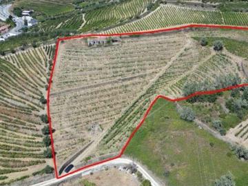 Quinta no Alto Douro com área total do lote 15.285m2