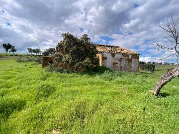 Quinta no Alentejo com duas habitações 100m² Aldeia Nova De São Bento