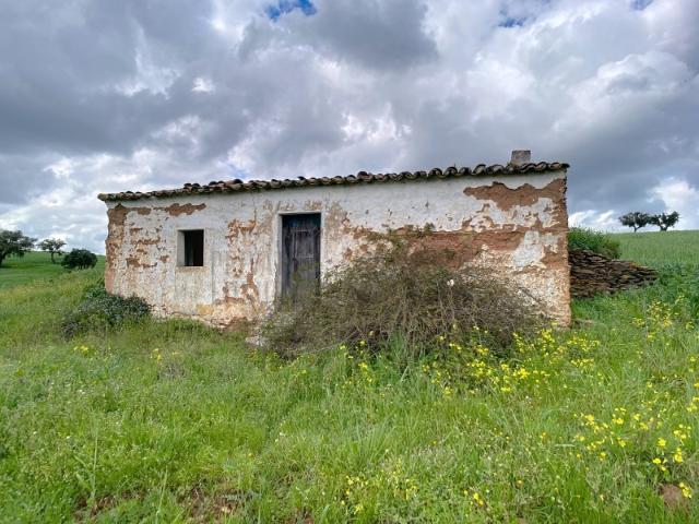Quinta no Alentejo com duas habitações