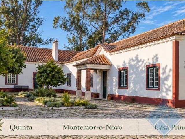 Quinta no Alentejo com 4,6 ha | Moradia com 5 Quartos, 3 Suites, Piscina e Olival