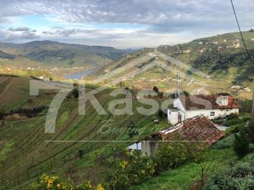 Peso da Régua e Godim, Peso da Régua, Distrito de Vila Real