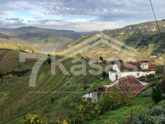 Quinta no Douro 3,8 hectares 0m² Peso Da Régua