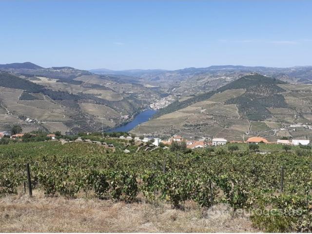 Quinta no Douro