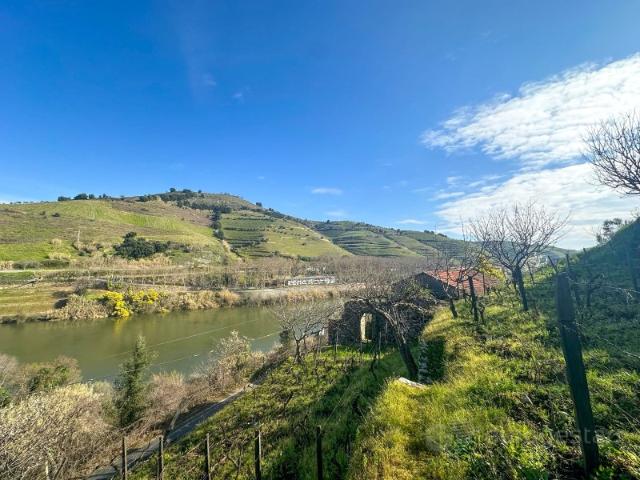 Quintinha no Douro