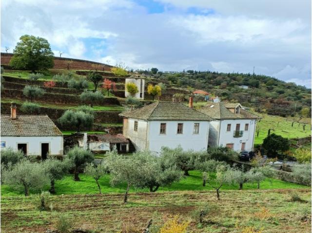 Quinta no Douro com projeto aprovado