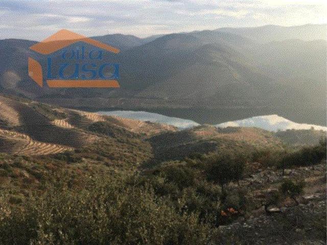 Quinta no Douro Superior 70 ha