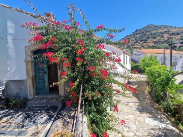 Quinta no Douro Vinhateiro