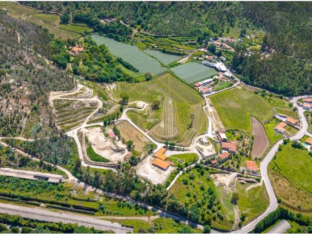 Quinta | Natureza, Vinha e Potencial de Desenvolvimento