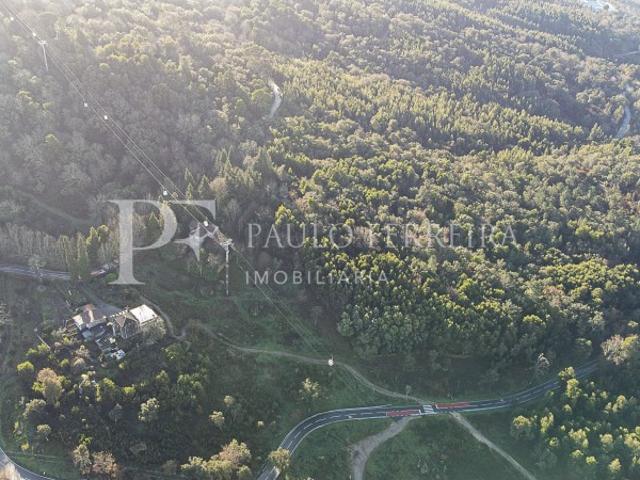 Quinta na Encosta da Penha