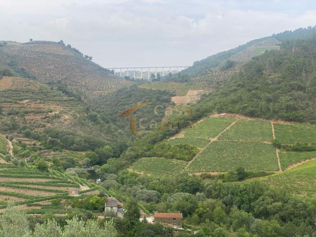 Quinta na Ermida