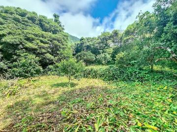 Quinta na Fajã Grande, Ilha das Flores
