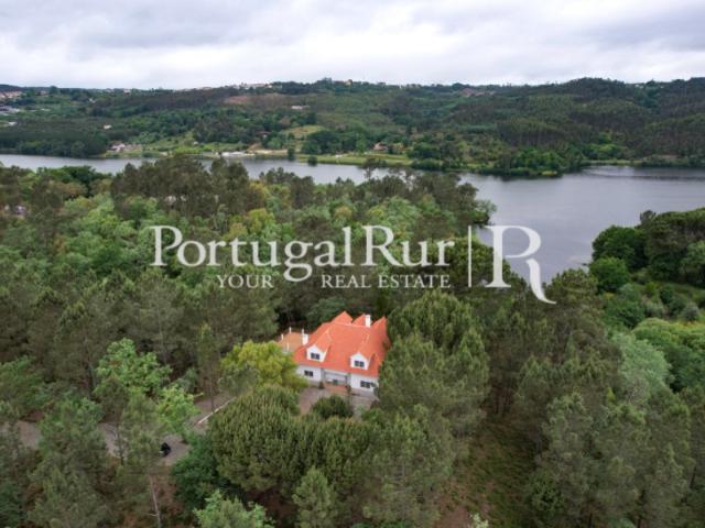 Quinta na margem do Rio Dão 5 hectares