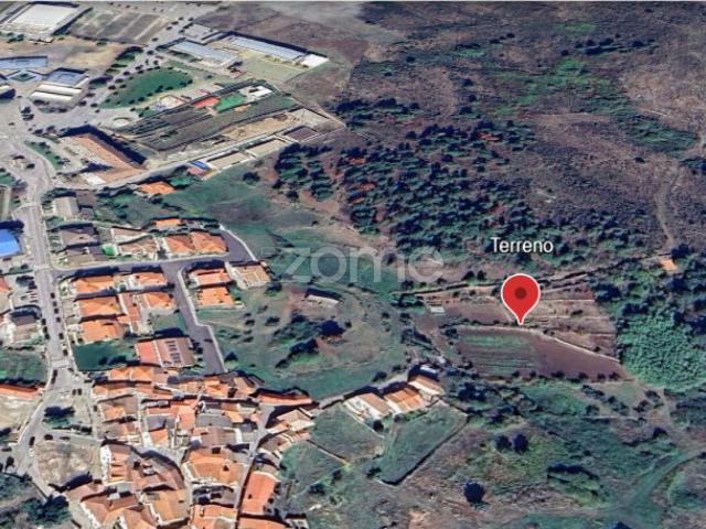 Quinta na Portelinha Moimenta Da Beira