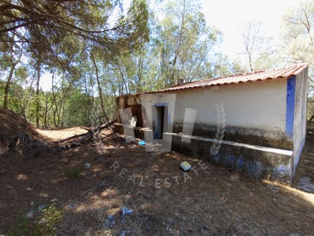 Quinta São Teotónio com 9,7ha