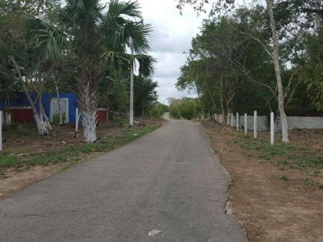 Quinta San José Kinchahau Tekit 300 hect