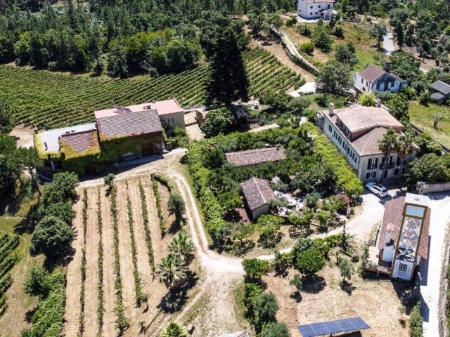 Quinta senhorial de 1754 para turismo rural com vinícola pre. 1100m² Sertã