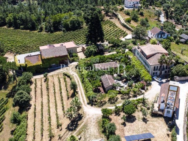 Quinta senhorial de 1754 para turismo rural com vinícola premiada