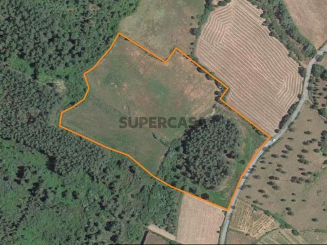 Quinta serra da estrela, terreno junto ao núcleo urbano Guarda