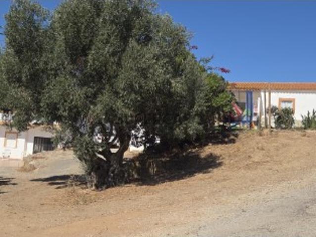 Quinta situada a 1Km da baixa de Silves com potencial de expansão turística