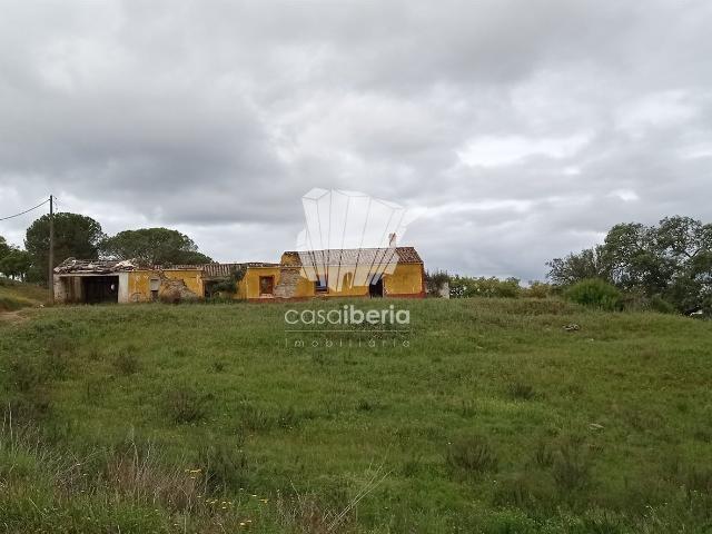 Quinta Silves São Bartolomeu de Messines m² São Bartolomeu De Messines