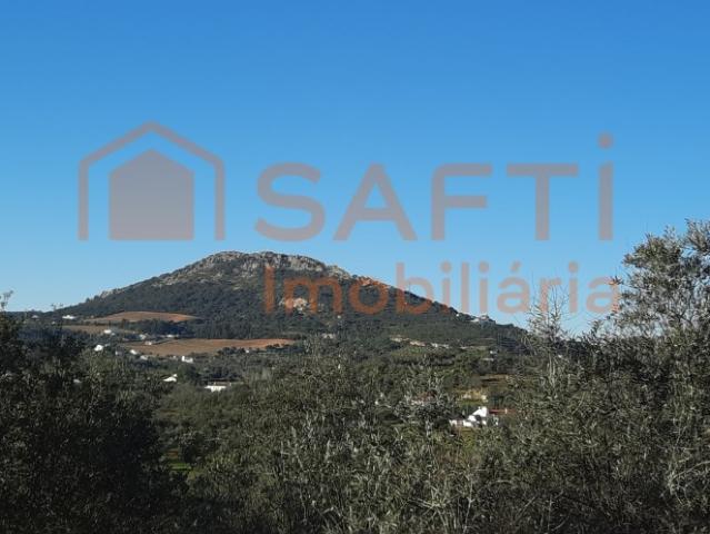 Quinta Portalegre