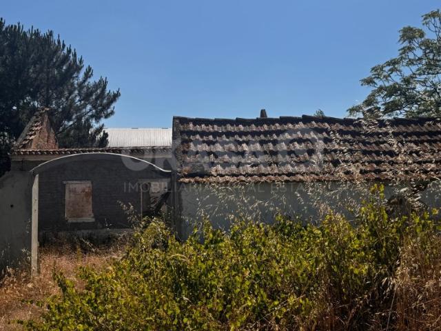 Terreno, Palmela