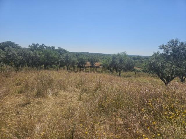 Quinta para Venda Abela Santiago do Cacém