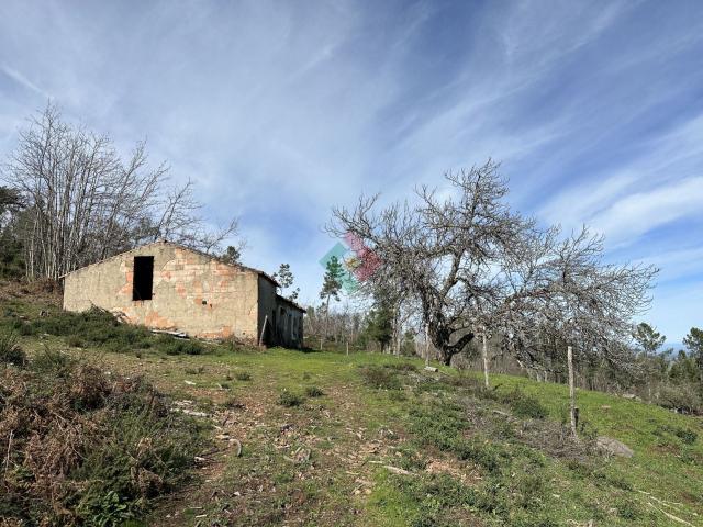 Quinta, para venda, Castelo de Vide Santa Maria da Devesa