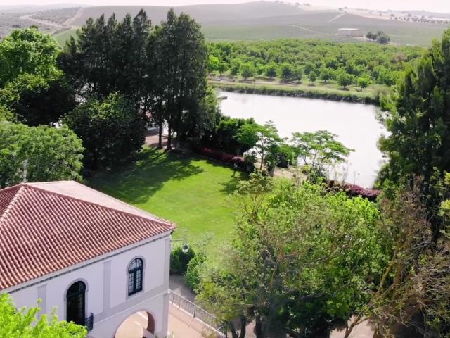 Quinta para venda com 18,5 ha localizada na zona de Ferreira do Alentejo