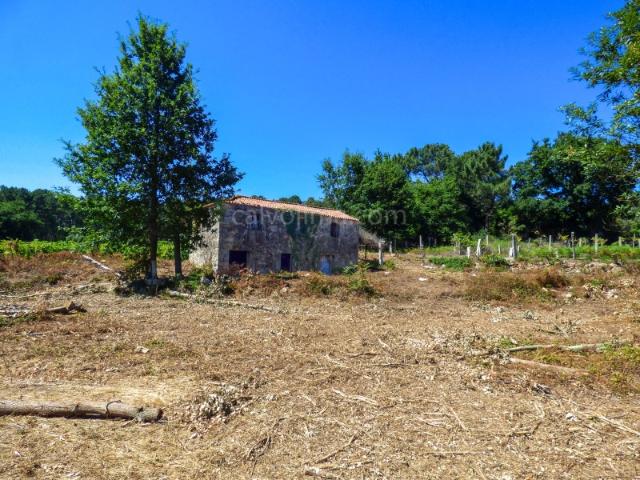 Quinta para Venda com Casa em Pedra para Reconstruir em Monção