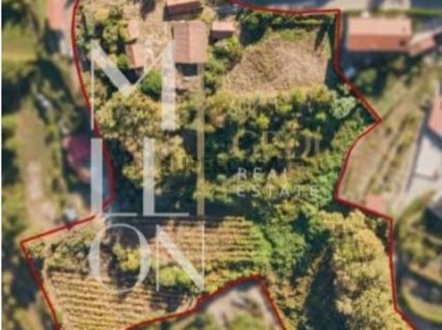 Quinta para venda em Jazente Amarante