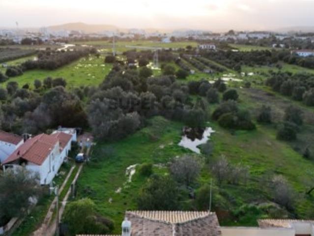 Quinta para venda em Salir Algarve